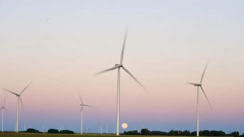 Castilla y León gana 550 MW de potencia eólica instalada y robustece su liderazgo en el sector