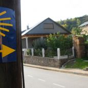 Imagen del Camino de Santiago 