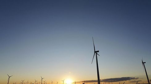 Parque eolico 