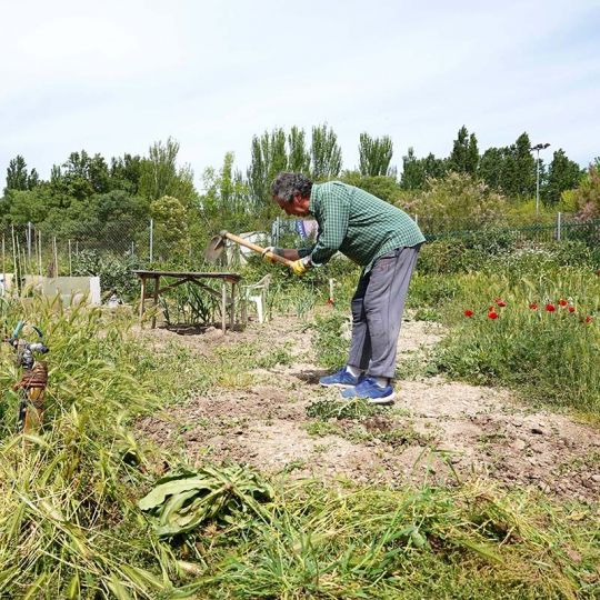 Los vecinos de Ponferrada ya pueden solicitar una parcela en los huertos urbanos municipales Los vecinos de Ponferrada ya pueden solicitar una parcela en los huertos urbanos municipales