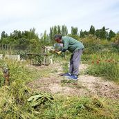 Los vecinos de Ponferrada ya pueden solicitar una parcela en los huertos urbanos municipales