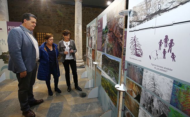 Presentación de la exposición sobre arte rupestre 'Lienzos de piedra'