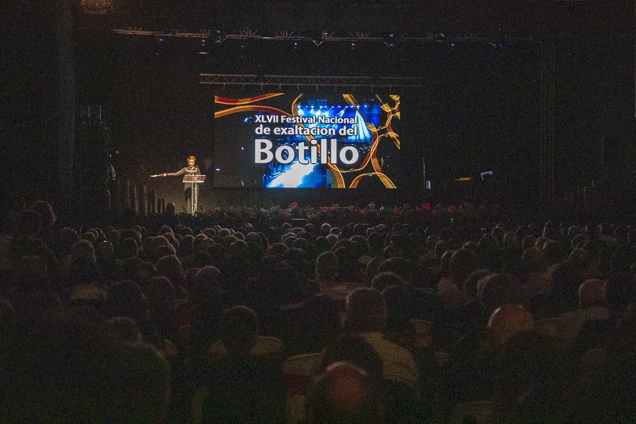 Botillo-Bembibre-2019-900_5
