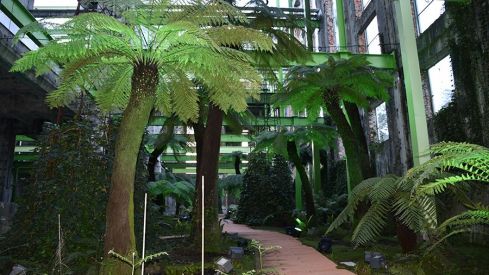 termica cultural ponferrada (28)