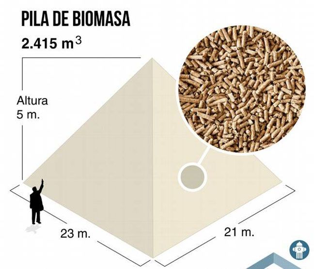 grafico biomasa