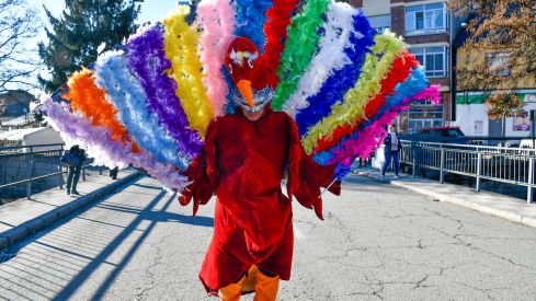 Carnaval Torre del Bierzo 2023