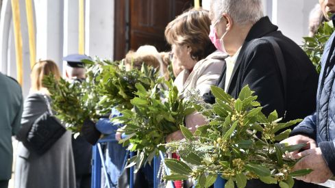 Procesión del Domingo de Ramos en Ponferrada Procesión del Domingo de Ramos en Ponferrada