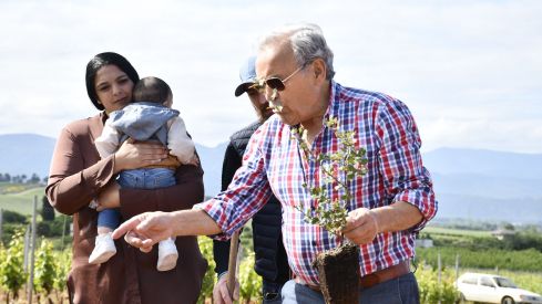 Bosque Prada A Tope Clínica Ponferrada