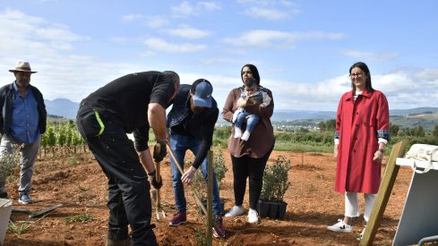 Bosque Prada A Tope Clínica Ponferrada
