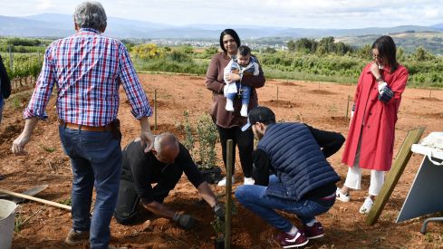 Bosque Prada A Tope Clínica Ponferrada