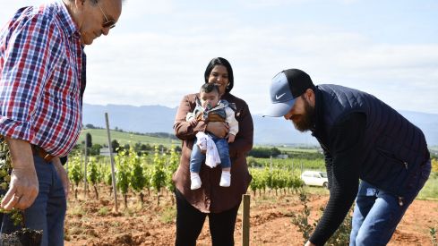 Bosque Prada A Tope Clínica Ponferrada