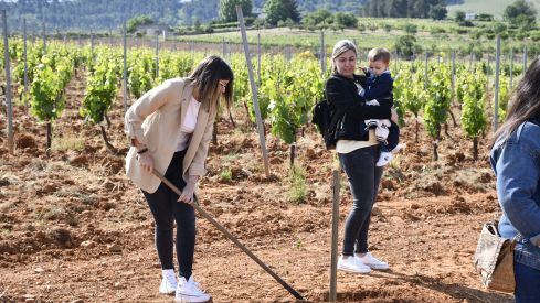 Bosque Prada A Tope Clínica Ponferrada