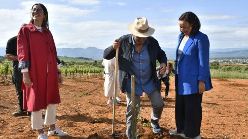 Bosque Prada A Tope Clínica Ponferrada