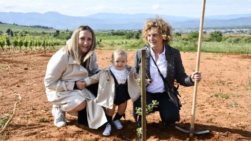 Bosque Prada A Tope Clínica Ponferrada