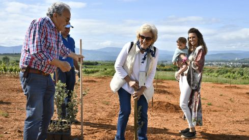 Bosque Prada A Tope Clínica Ponferrada