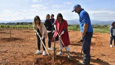 Bosque Prada A Tope Clínica Ponferrada