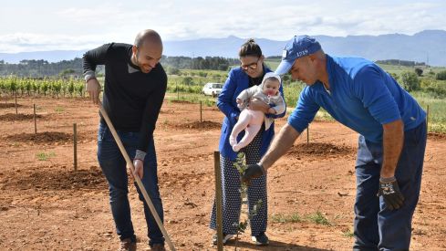 Bosque Prada A Tope Clínica Ponferrada