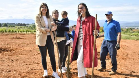 Bosque Prada A Tope Clínica Ponferrada