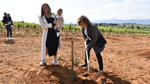 Bosque Prada A Tope Clínica Ponferrada