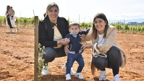 Bosque Prada A Tope Clínica Ponferrada