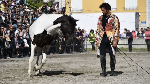 Feria del Caballo de Camponaraya 2023