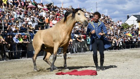 Feria del Caballo de Camponaraya 2023