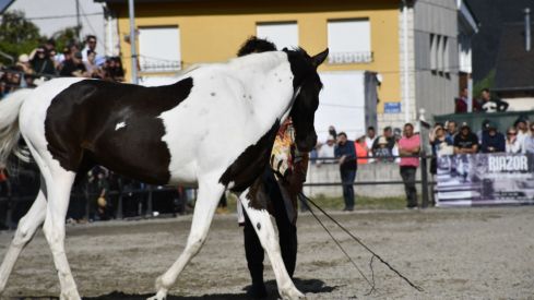 Feria del Caballo de Camponaraya 2023
