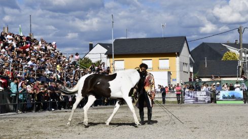 Feria del Caballo de Camponaraya 2023