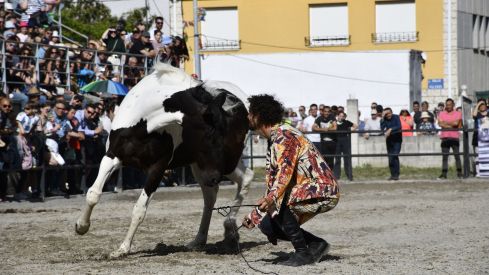 Feria del Caballo de Camponaraya 2023