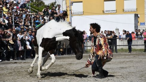 Feria del Caballo de Camponaraya 2023