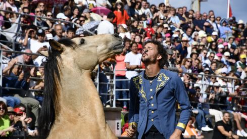 Feria del Caballo de Camponaraya 2023