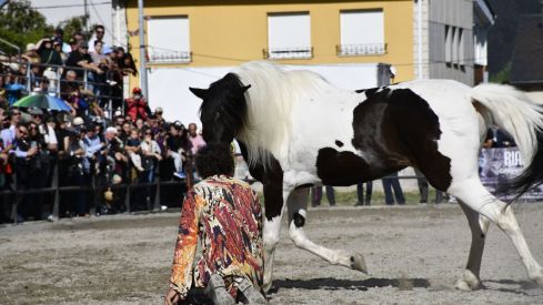 Feria del Caballo de Camponaraya 2023