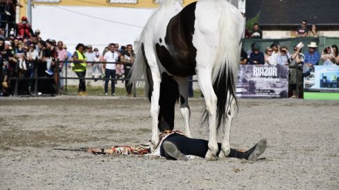 Feria del Caballo de Camponaraya 2023