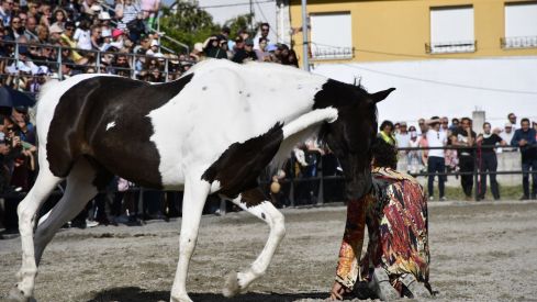 Feria del Caballo de Camponaraya 2023