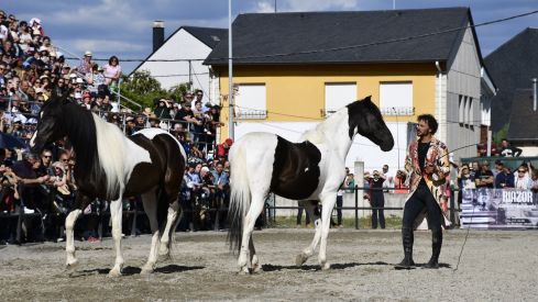Feria del Caballo de Camponaraya 2023