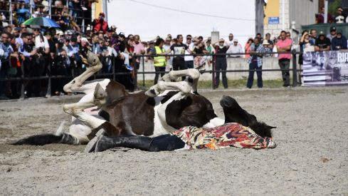 Feria del Caballo de Camponaraya 2023