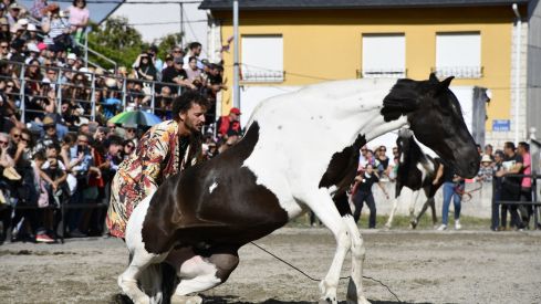 Feria del Caballo de Camponaraya 2023