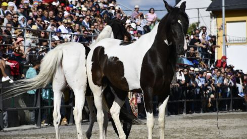 Feria del Caballo de Camponaraya 2023
