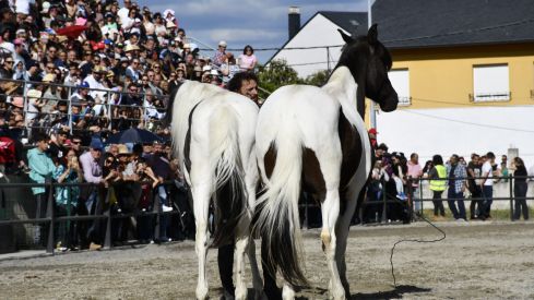 Feria del Caballo de Camponaraya 2023