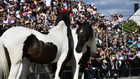 Feria del Caballo de Camponaraya 2023