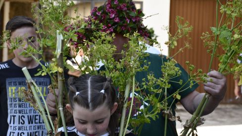 Fiesta de los Maios Villafranca del Bierzo 2023