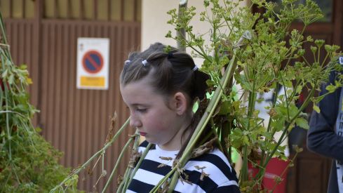 Fiesta de los Maios Villafranca del Bierzo 2023