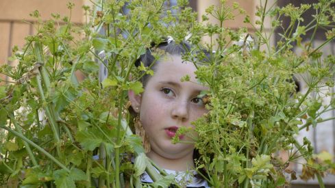 Fiesta de los Maios Villafranca del Bierzo 2023