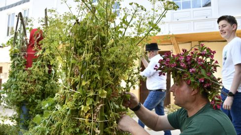Fiesta de los Maios Villafranca del Bierzo 2023