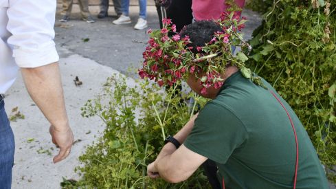 Fiesta de los Maios Villafranca del Bierzo 2023
