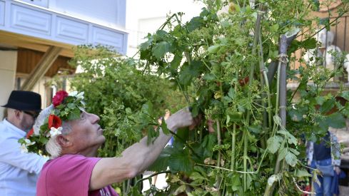 Fiesta de los Maios Villafranca del Bierzo 2023