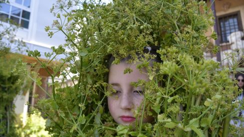Fiesta de los Maios Villafranca del Bierzo 2023