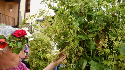 Fiesta de los Maios Villafranca del Bierzo 2023