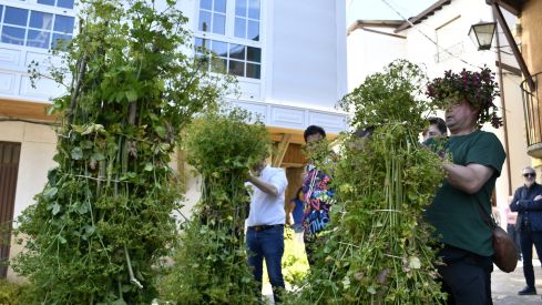 Fiesta de los Maios Villafranca del Bierzo 2023