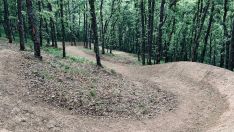 Zona Alfa León Zona Alfa León